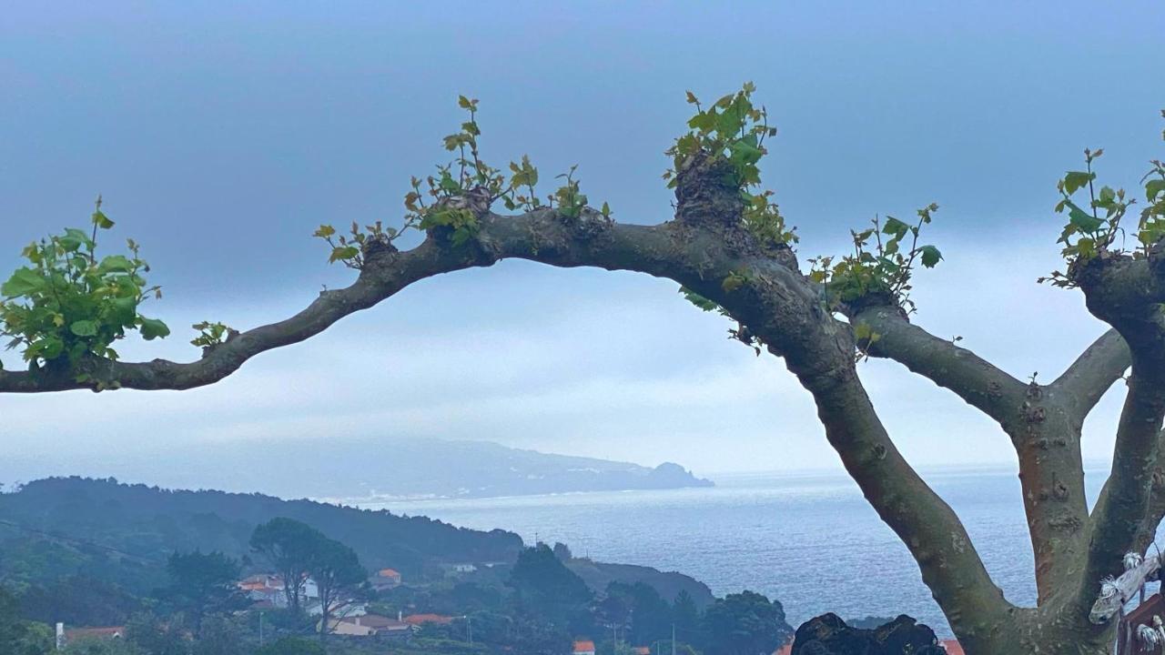 Miradouro Da Papalva Guest House - Pico - Azores Sao Joao  Ngoại thất bức ảnh