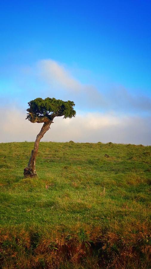 Miradouro Da Papalva Guest House - Pico - Azores Sao Joao  Ngoại thất bức ảnh